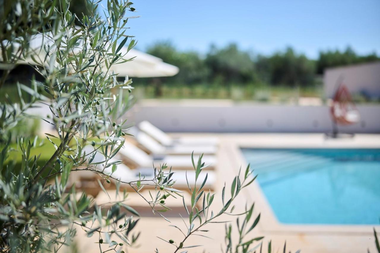 Villa Pura Vida With Pool And Whirlpool Near Umag Materada 外观 照片